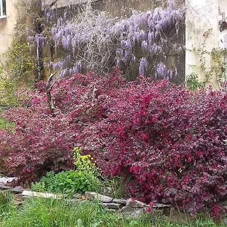 Holiday home Dolce Saint-Laurent-le-Minier