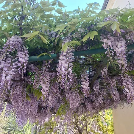 Casa vacanze Dolce *