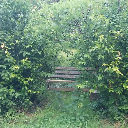 Dolce Casa vacanze *