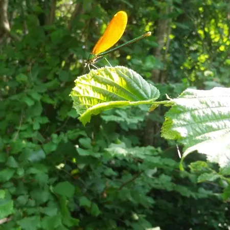 Dolce Casa vacanze *